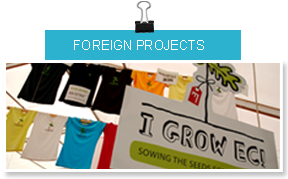 foreign projects