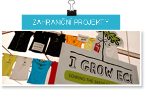 zahraniční projekty